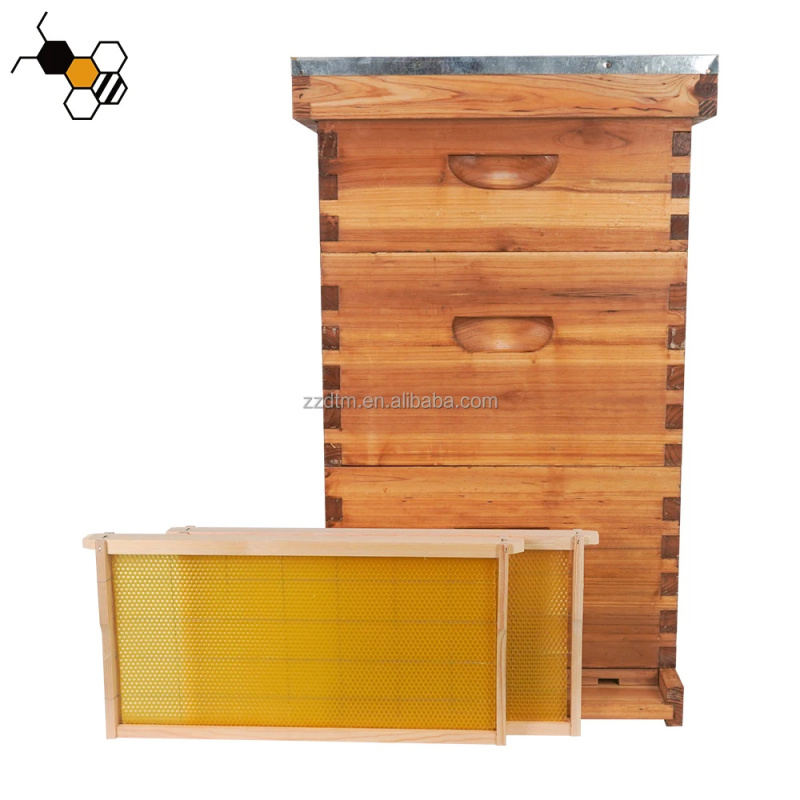 Beehive Frame Wax - Kit Arnia per Api di Alta