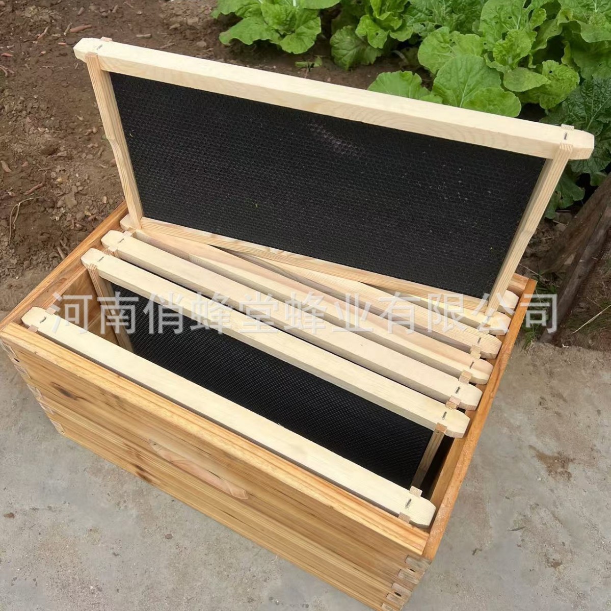 Beehive Frame Wax - Attrezzi per Apicoltura: Base Nido in