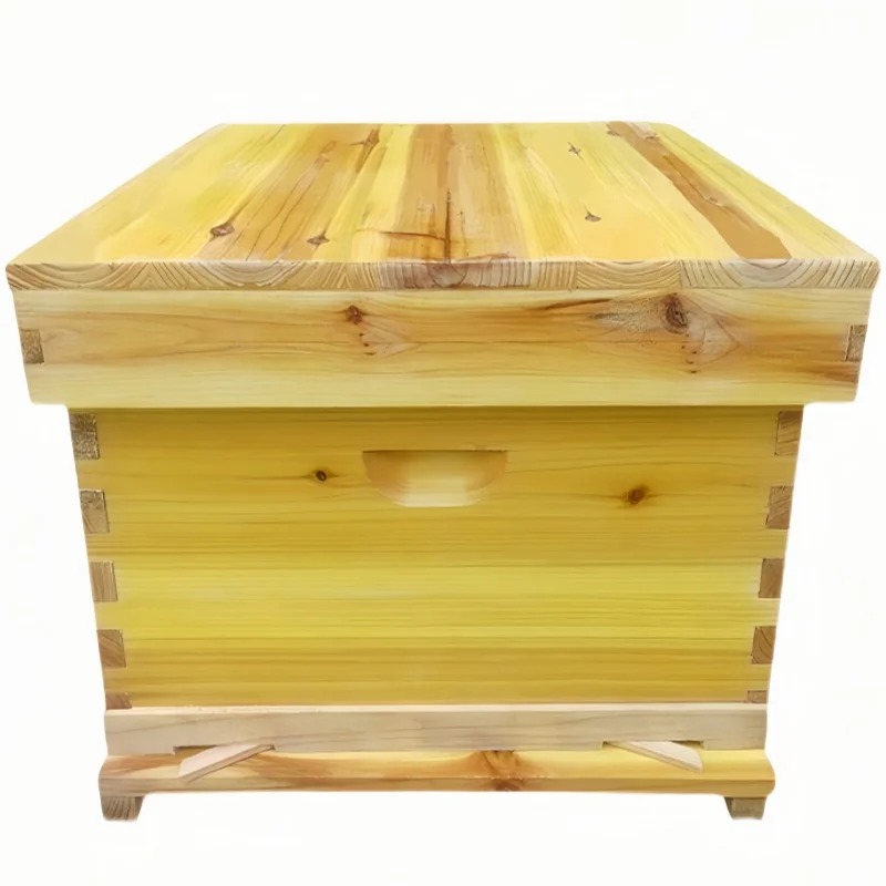 Beehive Frame Wax - Bee Hive in scatola per api,