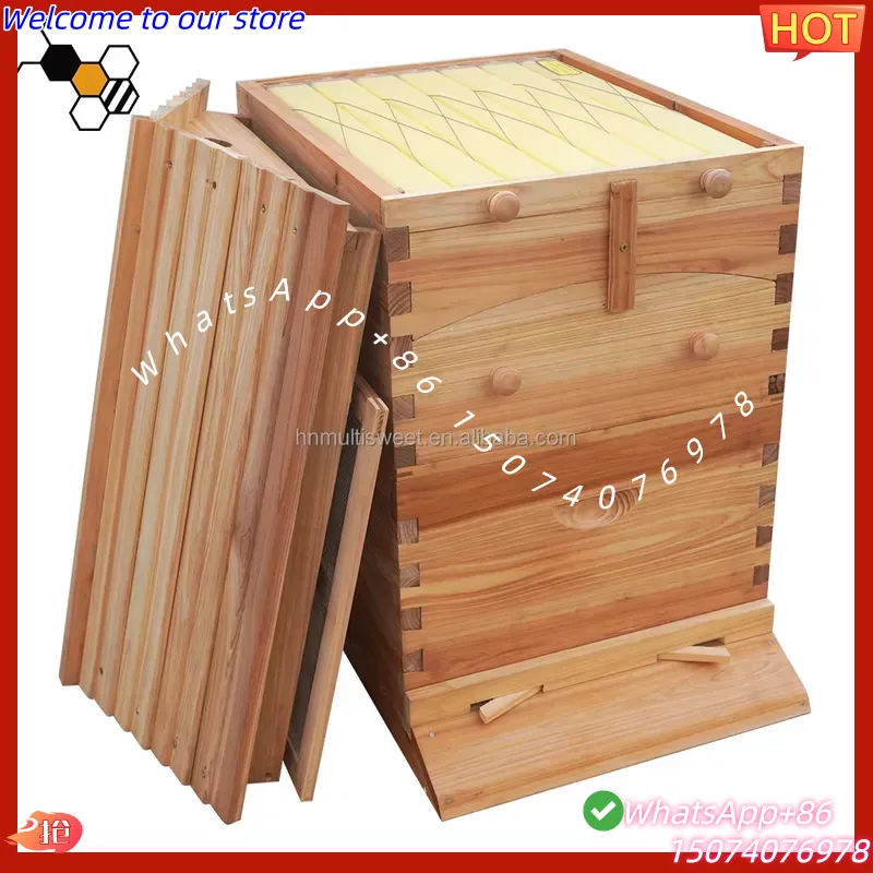 Arnia per api in abete cinese  - Beehive Frame Wax recensione e prezzo