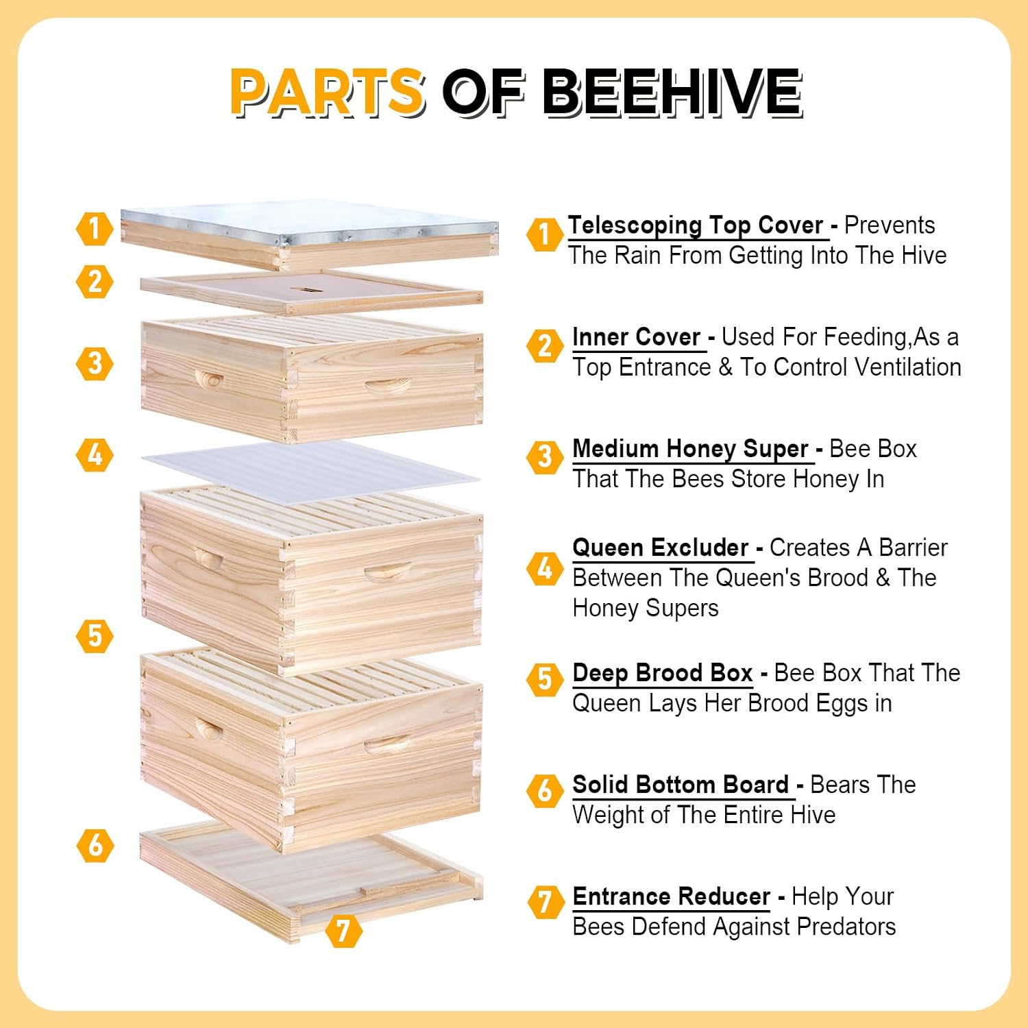 Kit Completo per Principianti  - Beehive Frame Wax recensione e prezzo