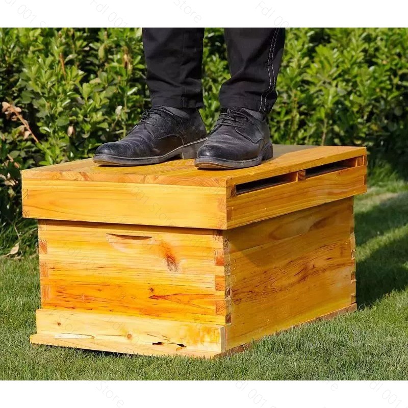 Kit Completo per Apicoltura co - Beehive Frame Wax recensione e prezzo