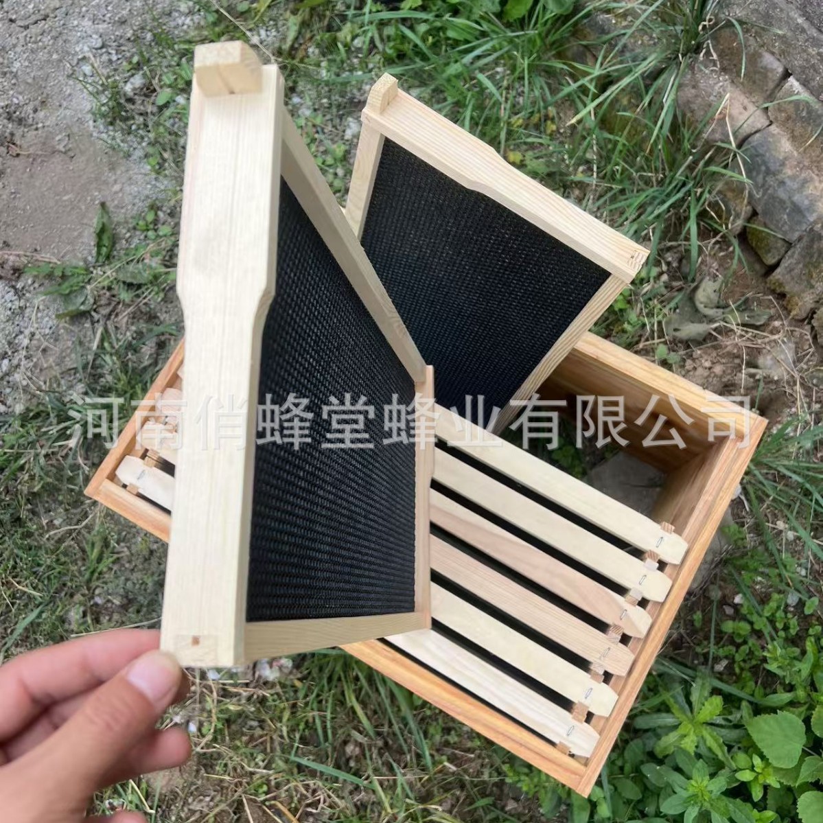 Attrezzi per Apicoltura: Base  - Beehive Frame Wax recensione e prezzo