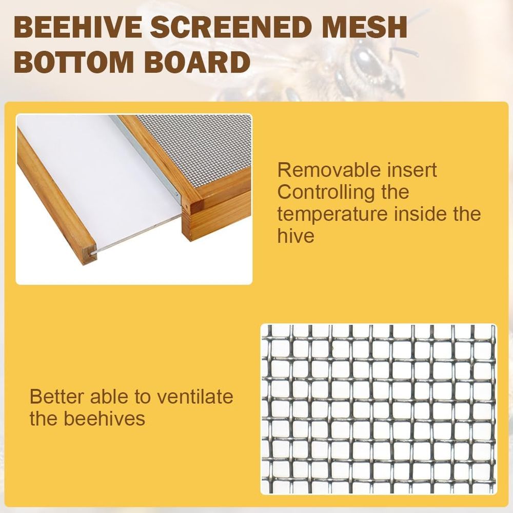 Kit Arnia a 10 Telaini con Fon - Beehive Frame Wax recensione e prezzo