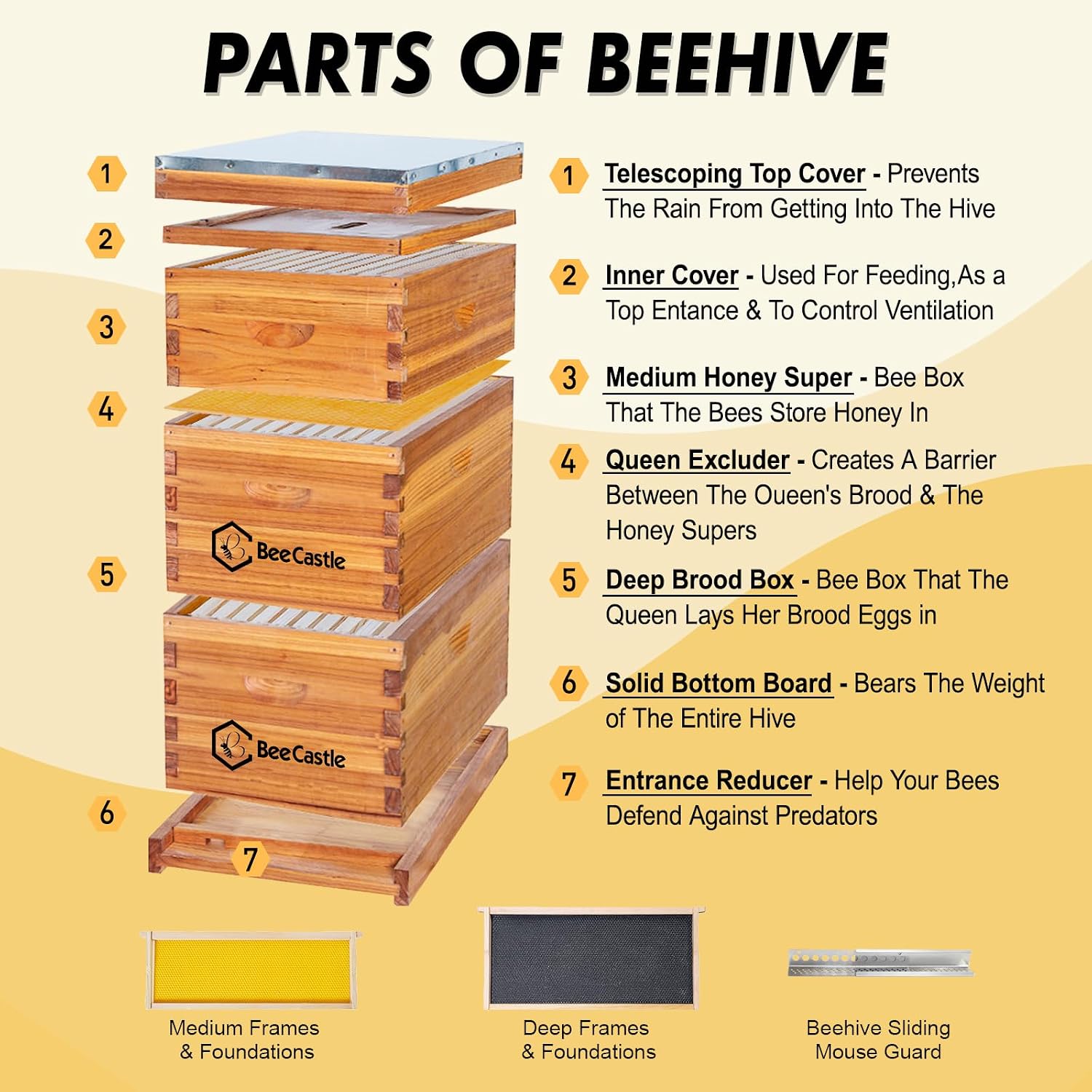 Alveare Langstroth a 10 telai  - Beehive Frame Wax recensione e prezzo