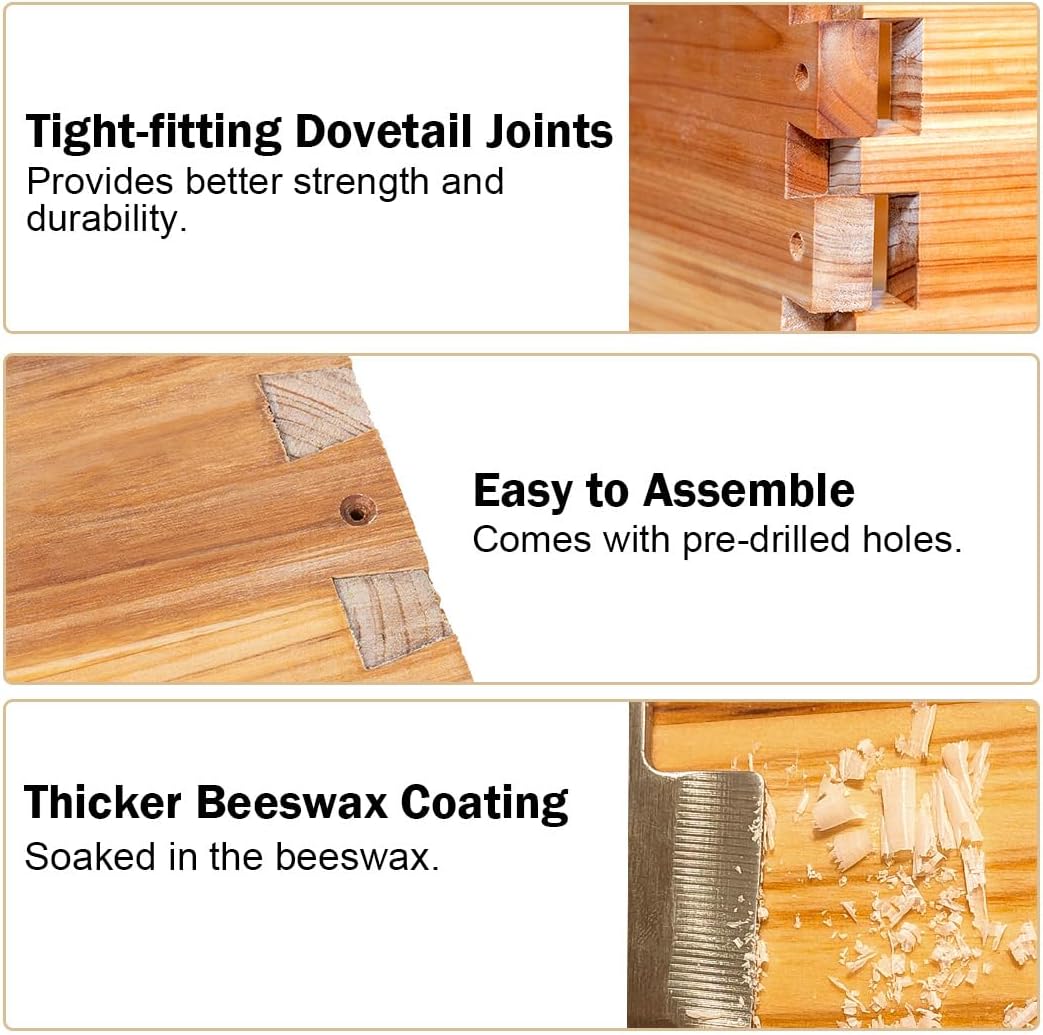 Alveare Langstroth a 10 telai  - Beehive Frame Wax recensione e prezzo