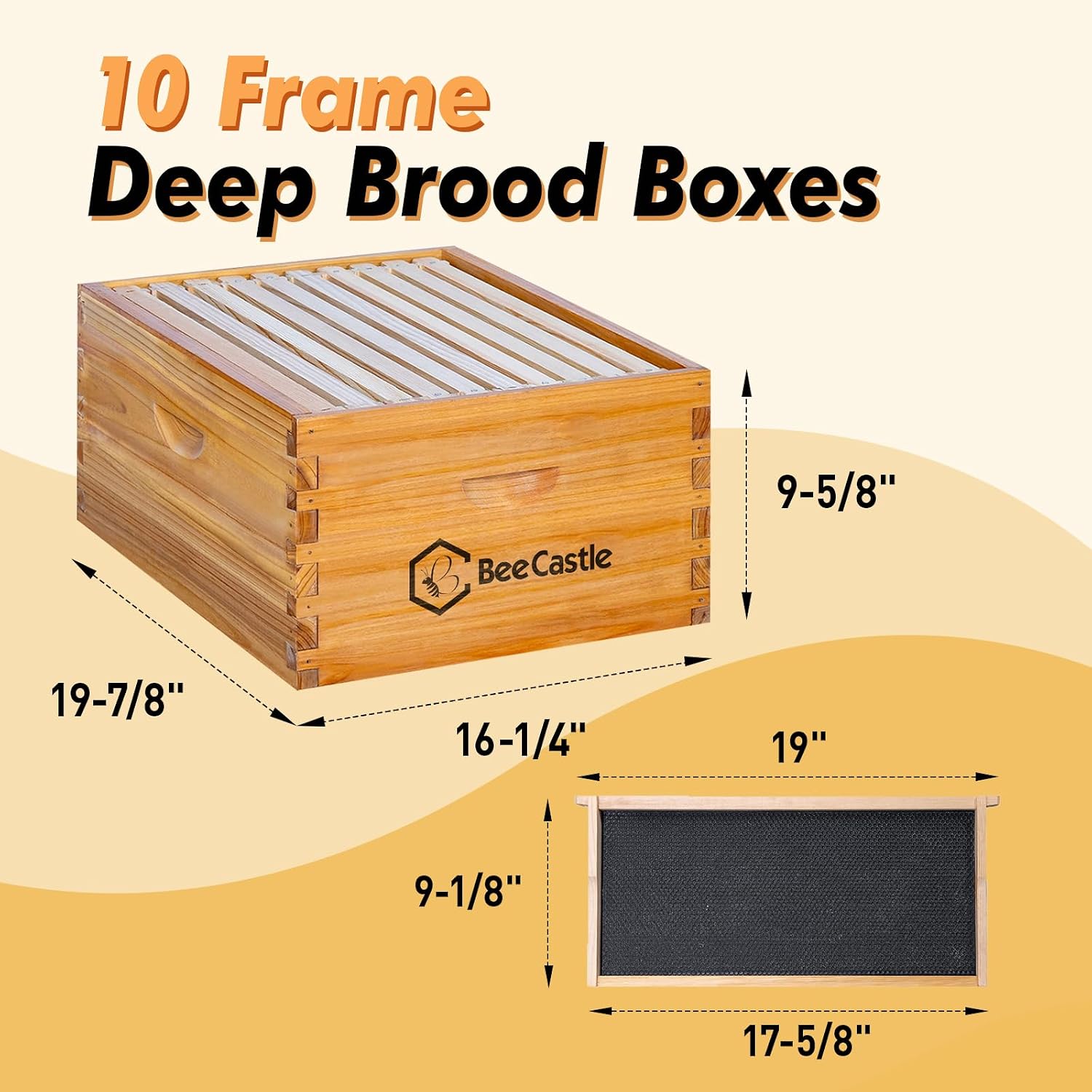 Alveare Langstroth a 10 telai  - Beehive Frame Wax recensione e prezzo