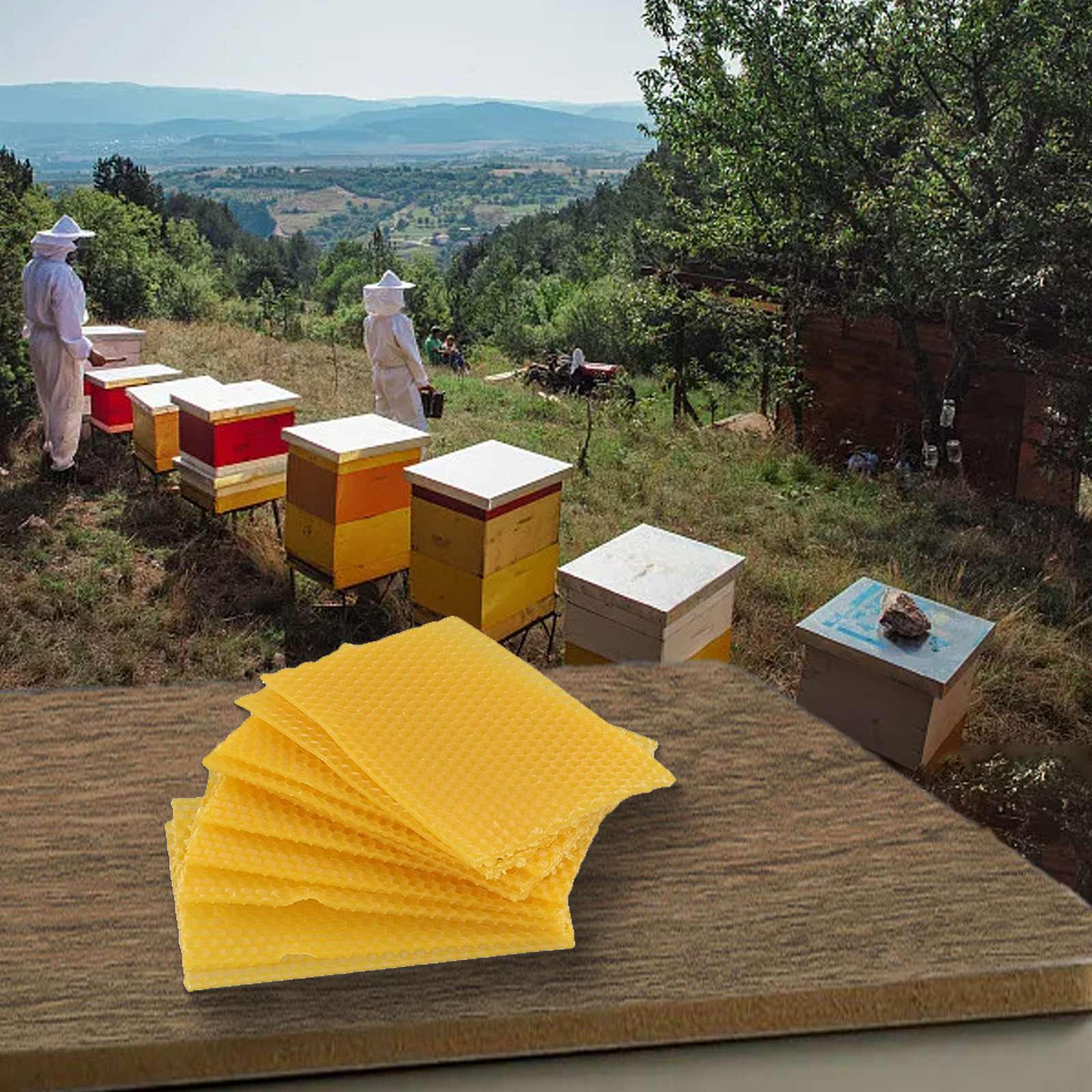 Telai per cera d'api 9cm524x,  - Beehive Frame Wax recensione e prezzo
