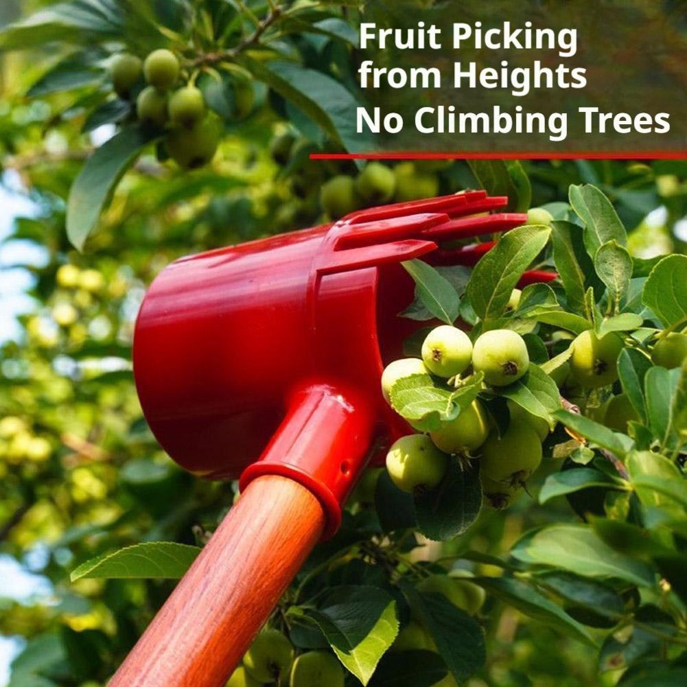 Raccoglitore di Frutta Portati - Farming Agriculture Tools recensione e prezzo